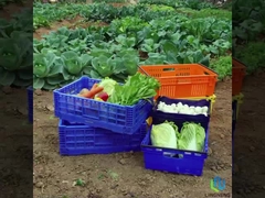 27L 가벼운 접는 상자 상자 채소 과자 매출물망 상자 손잡이